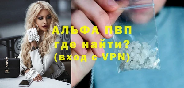 шишки Медвежьегорск