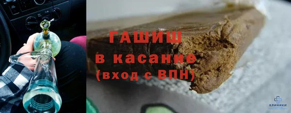 шишки Медвежьегорск