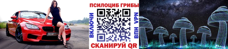 Галлюциногенные грибы Magic Shrooms  Купить где  Снежногорск 